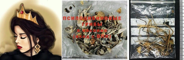 гашик Инсар