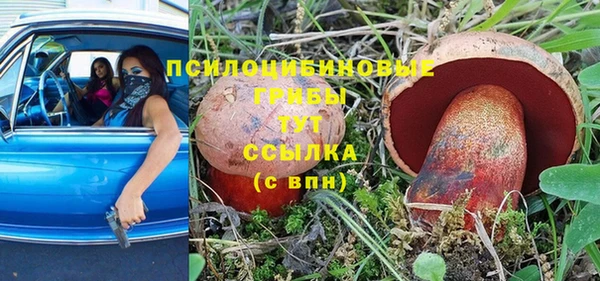 гашик Инсар