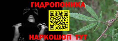 кокс Бийск