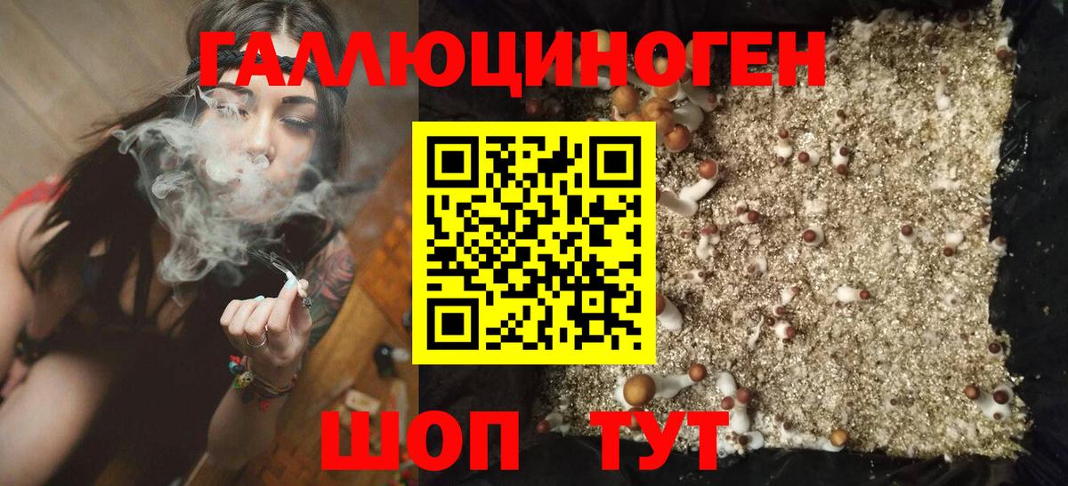 Псилоцибиновые грибы Psilocybine cubensis  Вход с VPN  Кингисепп 