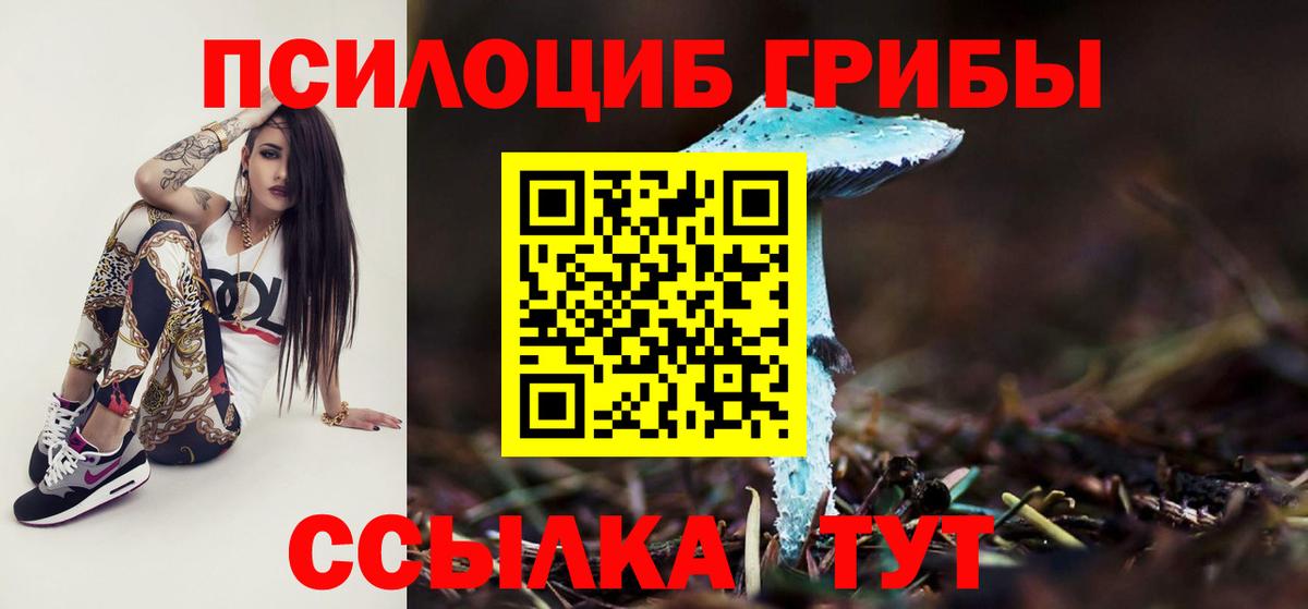Галлюциногенные грибы мицелий Кингисепп