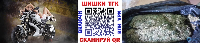 Каннабис ГИДРОПОН  Кингисепп 